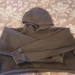 Aritzia Cropped Perfect Hoodie
